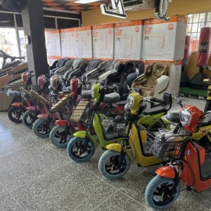 Electric Scooters